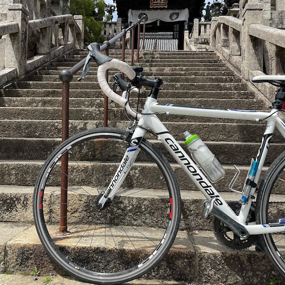 Osaka: Rent a Road Bike to Explore Osaka and Beyond