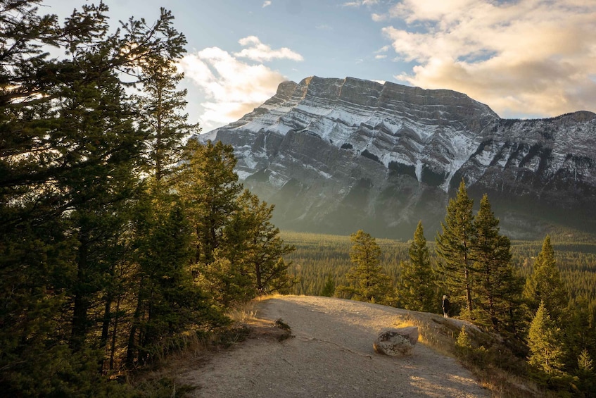 Picture 2 for Activity Banff: Highlights and Wildlife Group Tour