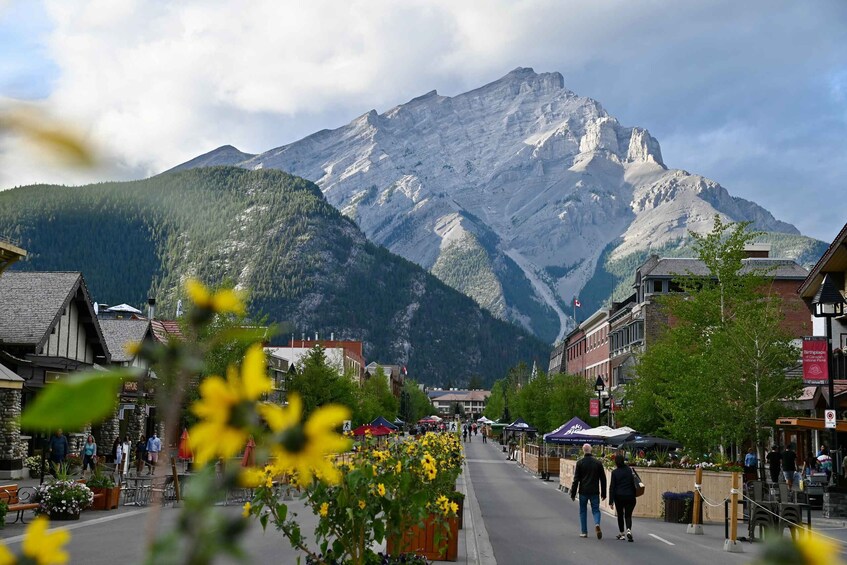 Picture 3 for Activity Banff: Highlights and Wildlife Group Tour