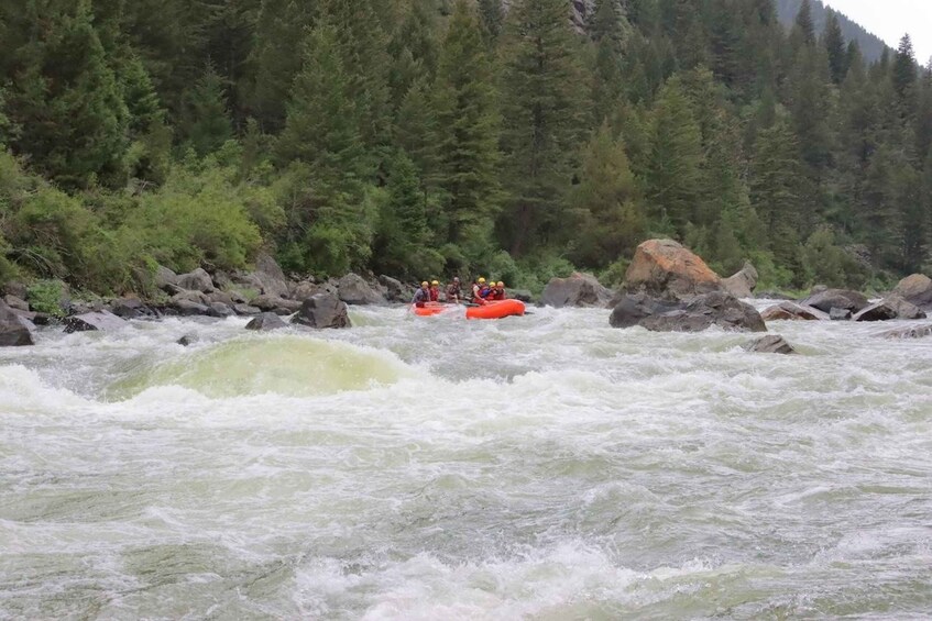 Picture 4 for Activity Ennis MT: Exclusive Raft Trip through Beartrap Canyon+Lunch