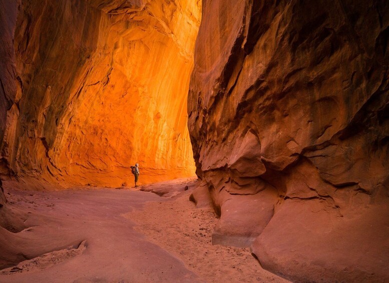 Picture 9 for Activity Capitol Reef National Park Canyoneering Adventure