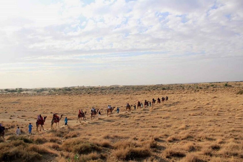 Picture 9 for Activity Desert Rose Jaisalmer: Overnight Stay Middle of Thar Desert