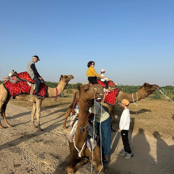 Picture 7 for Activity Desert Rose Jaisalmer: Overnight Stay Middle of Thar Desert