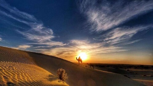 Desert Rose Jaisalmer: Overnight Stay Middle of Thar Desert