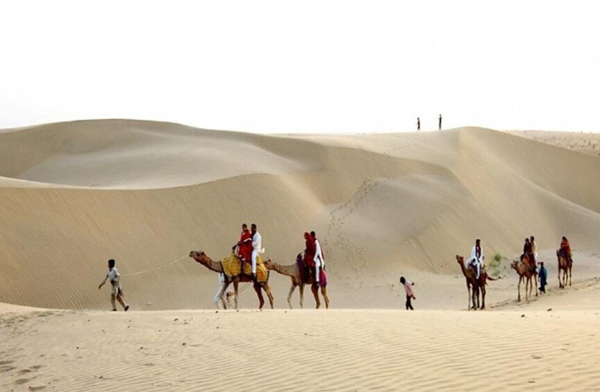 Picture 9 for Activity Desert Rose Jaisalmer: Overnight Thar Desert Experience
