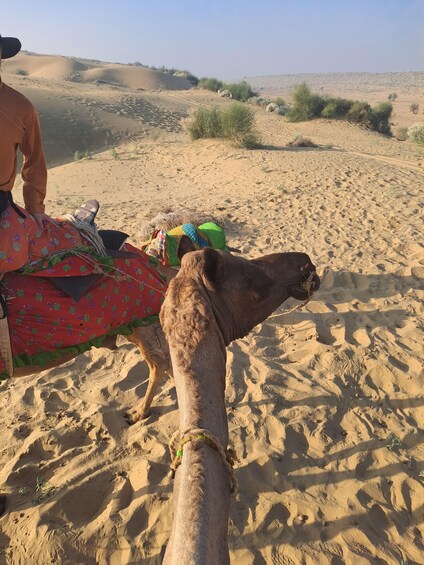 Picture 19 for Activity Desert Rose Jaisalmer: Overnight Thar Desert Experience