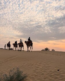 Desert Rose Jaisalmer: Overnight Stay Middle of Thar Desert
