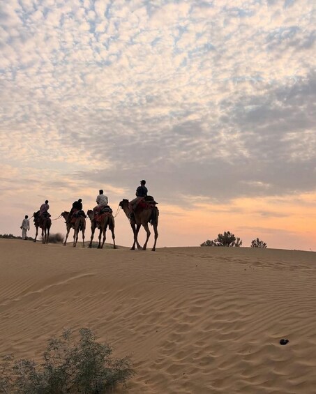 Desert Rose Jaisalmer: Overnight Stay Middle of Thar Desert