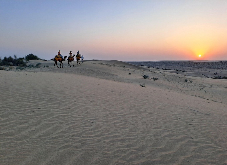 Picture 16 for Activity Desert Rose Jaisalmer: Overnight Stay Middle of Thar Desert