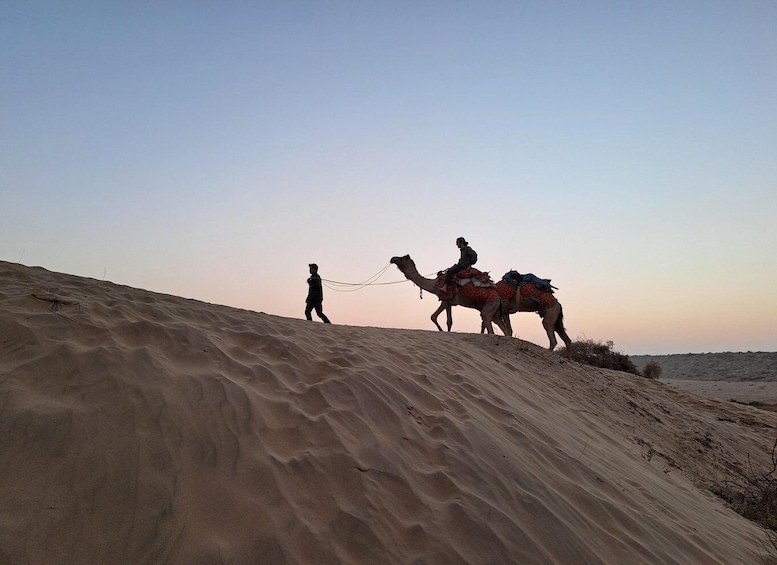 Picture 4 for Activity Desert Rose Jaisalmer: Overnight Stay Middle of Thar Desert