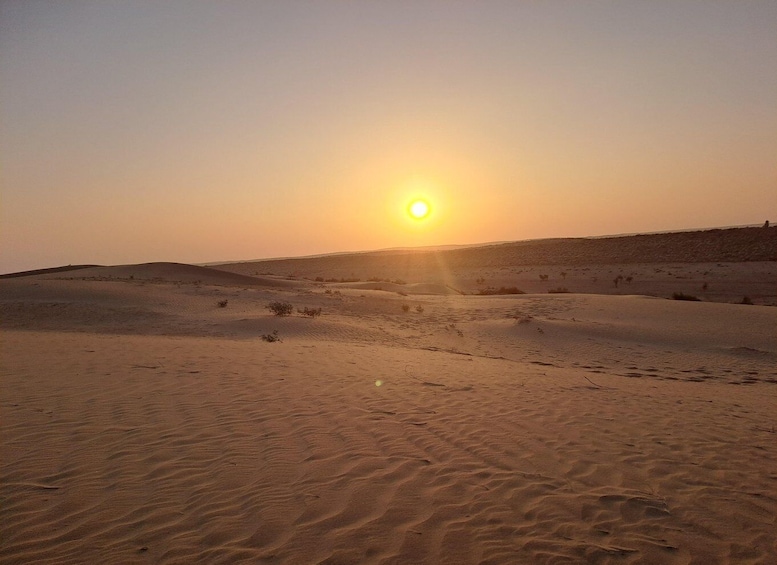 Picture 15 for Activity Desert Rose Jaisalmer: Overnight Stay Middle of Thar Desert