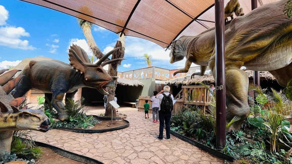 Picture 2 for Activity TOUR: "Dinosaur museum" with guide, transfer and tickets