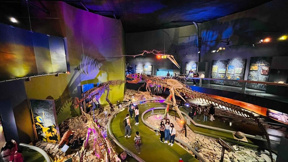 Picture 1 for Activity TOUR: "Dinosaur museum" with guide, transfer and tickets