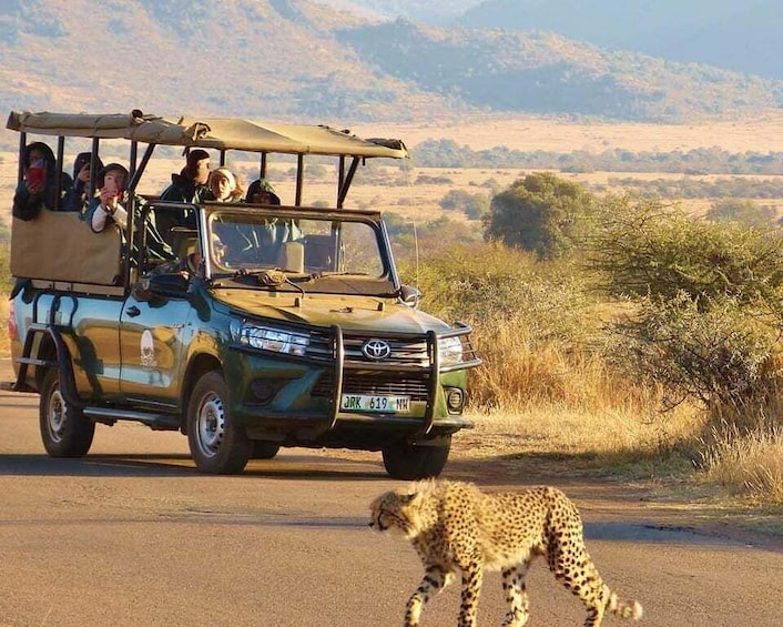 Picture 4 for Activity Kruger Park Scheduled Full day Safari Drive from Hazyview