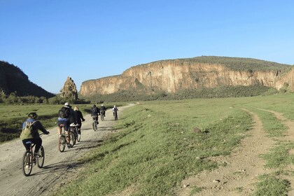 Desde Nairobi: excursión de un día a Hell's Gate y al lago Naivasha