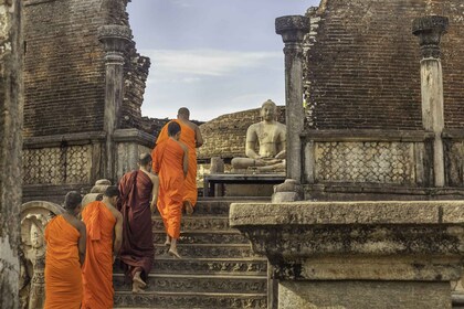 Gita di un giorno all'antica capitale di Polonnaruwa da Colombo