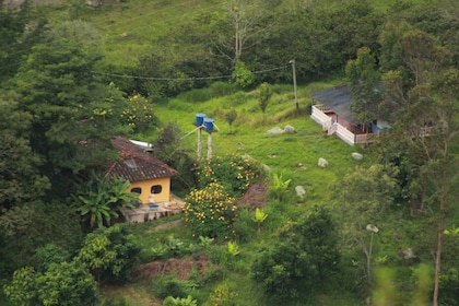 Colombia: Being a collector of wild edible plants