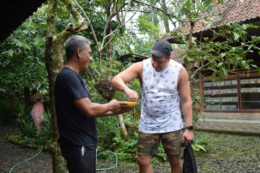 Picture 7 for Activity Ubud & Volcano Hot Springs Tours
