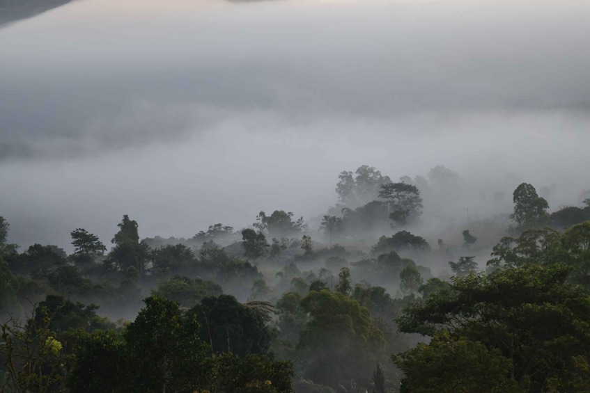 Picture 1 for Activity Ubud & Volcano Hot Springs Tours