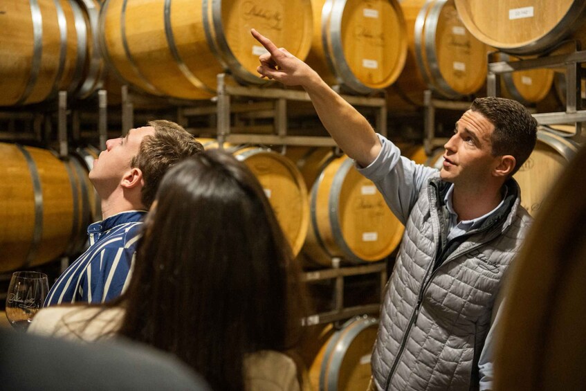 Picture 2 for Activity From San Francisco: The Ultimate Napa and Sonoma Wine Tour