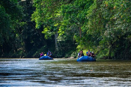 大自然探險漂流 + 玉米餅製作