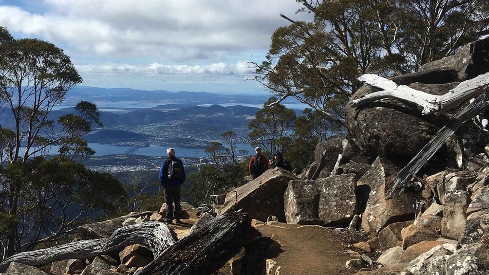 Picture 3 for Activity Kunanyi & Mt Wellington Explorer Bus: One-Way Bus Pass