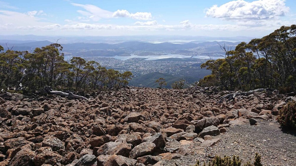 Picture 7 for Activity Kunanyi & Mt Wellington Explorer Bus: One-Way Bus Pass