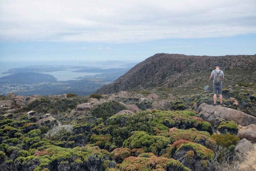 Kunanyi & Mt Wellington Explorer Bus: One-Way Bus Pass