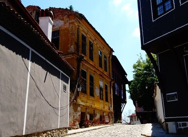 Depuis Sofia : Plovdiv et Perushtitsa excursion avec dégustation de vins