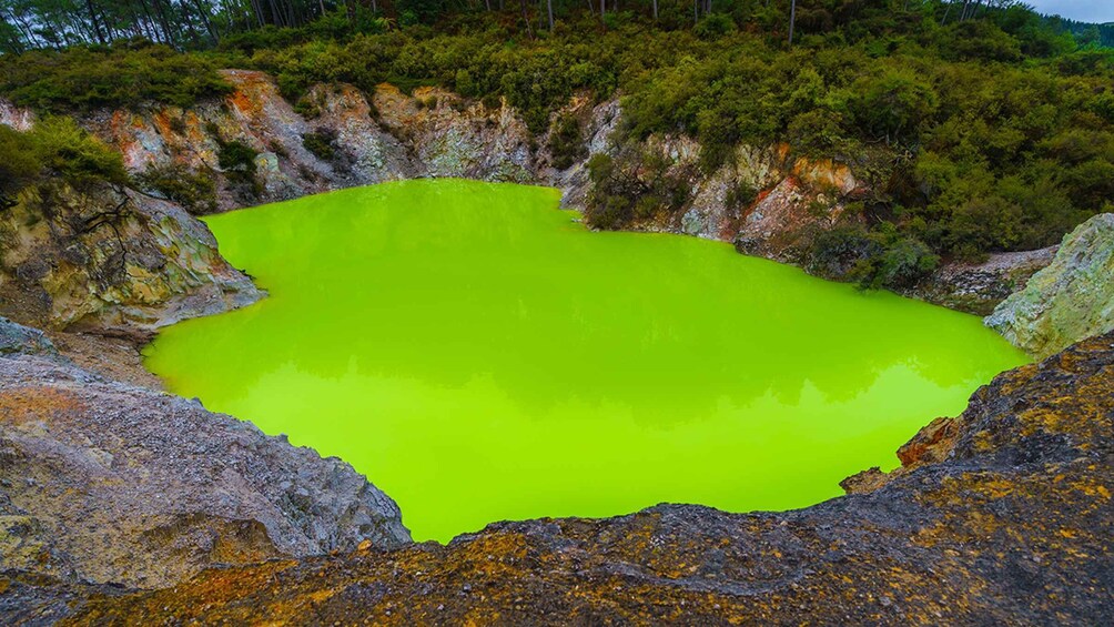 Picture 5 for Activity Auckland: Hobbiton, Rotorua and Wai-O-Tapu Day Tour