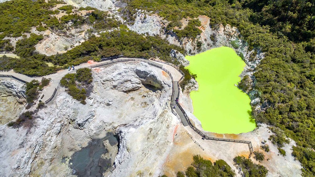Picture 9 for Activity Auckland: Hobbiton, Rotorua and Wai-O-Tapu Day Tour