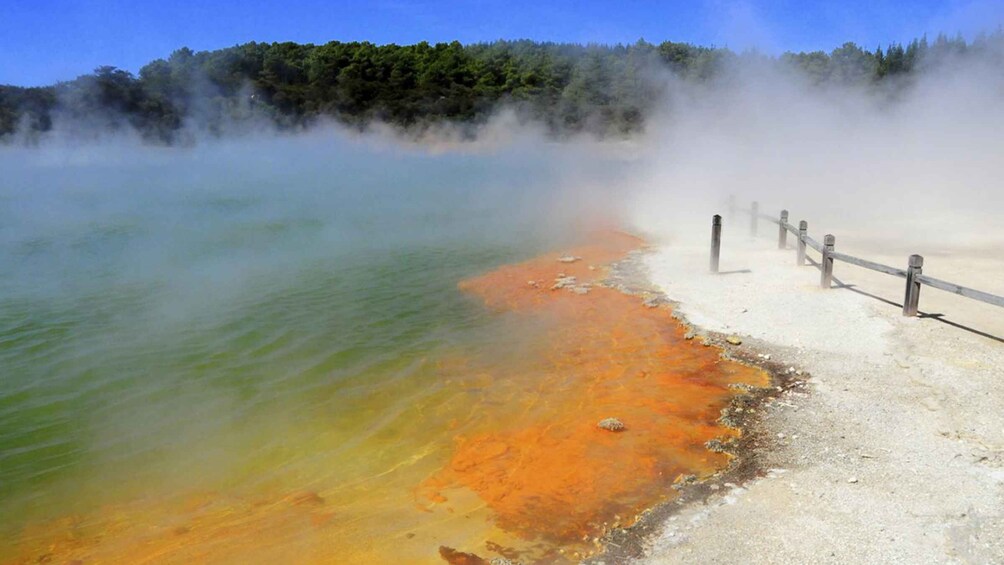 Picture 8 for Activity Auckland: Hobbiton, Rotorua and Wai-O-Tapu Day Tour