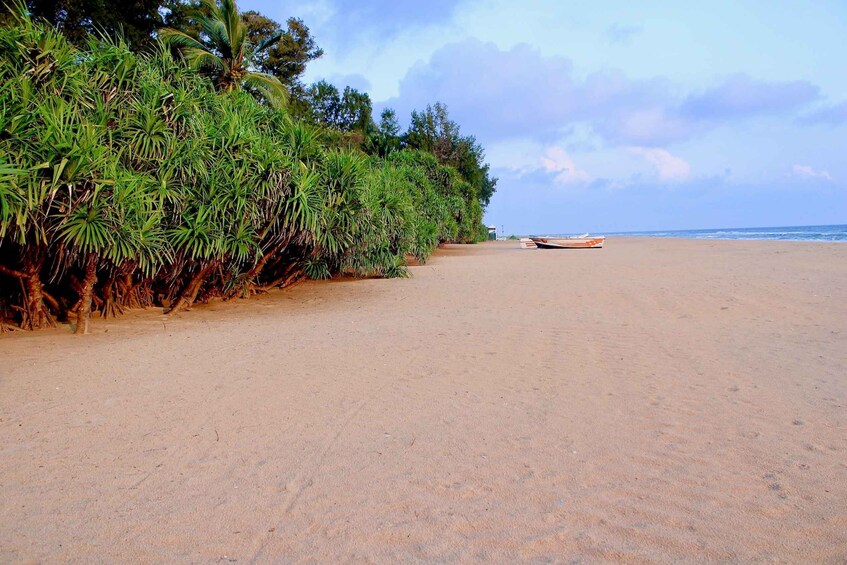 Picture 5 for Activity Surfing in Mount Lavinia