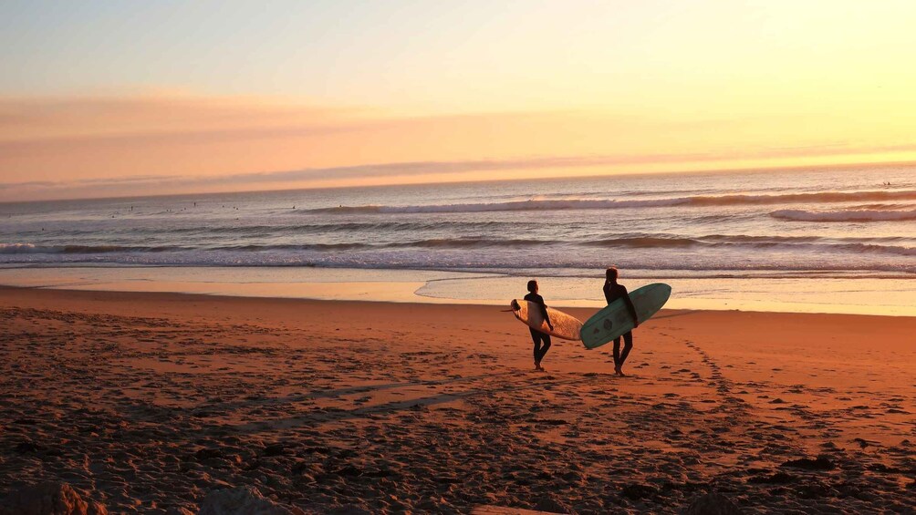 Picture 3 for Activity Surfing in Mount Lavinia