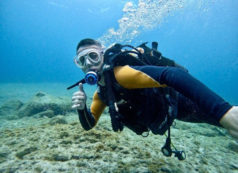 Picture 1 for Activity Tenerife: Beginner's Dive at a Spot with Turtle Sightings