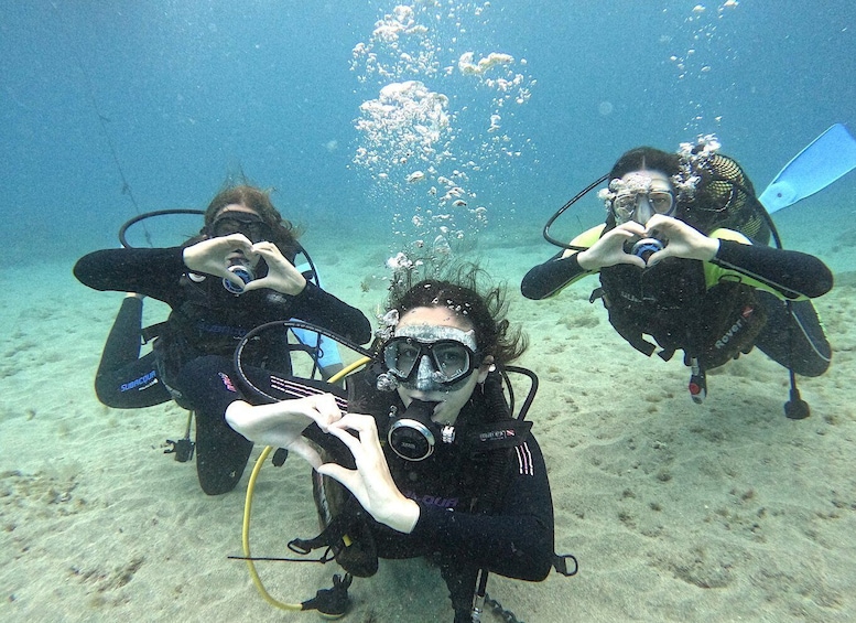 Tenerife: Beginner's Dive at a Spot with Turtle Sightings