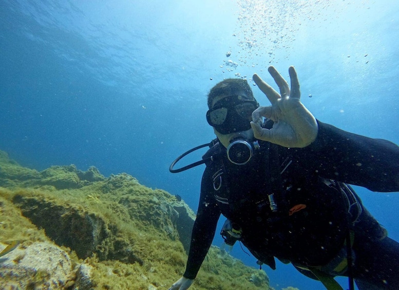 Picture 6 for Activity Tenerife: Beginner's Dive at a Spot with Turtle Sightings