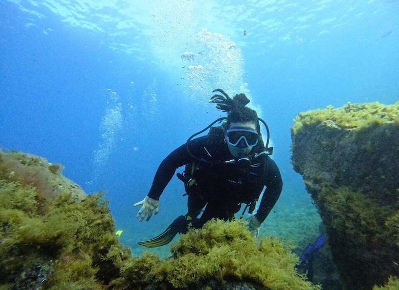 Picture 5 for Activity Tenerife: Beginner's Dive at a Spot with Turtle Sightings