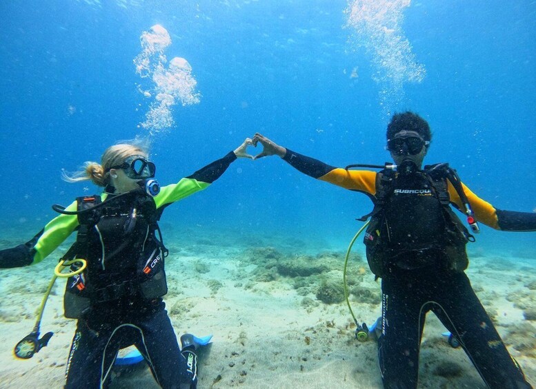 Picture 8 for Activity Tenerife: Beginner's Dive at a Spot with Turtle Sightings