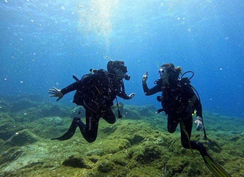 Picture 7 for Activity Tenerife: Beginner's Dive at a Spot with Turtle Sightings