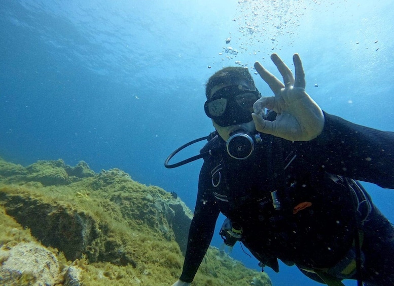 Picture 6 for Activity Tenerife: Beginner's Dive at a Spot with Turtle Sightings