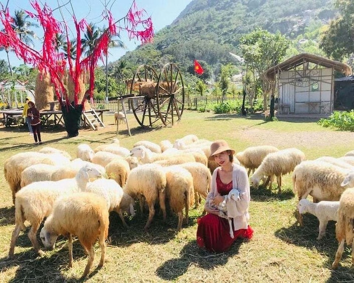 Picture 8 for Activity Nha Trang:Top Site Must See Vinh Hy Bay & Rai Cave Discovery