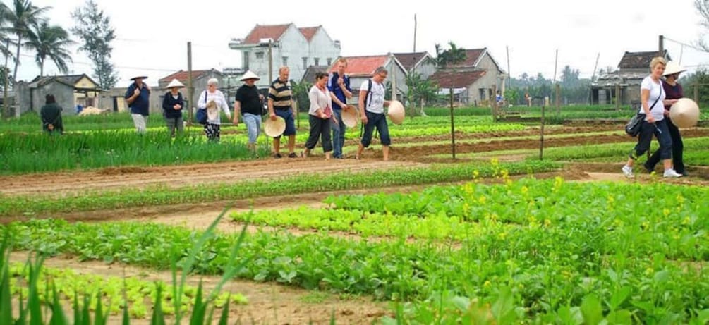 Picture 3 for Activity Hoi An: Tra Que Herb Village Cooking Class