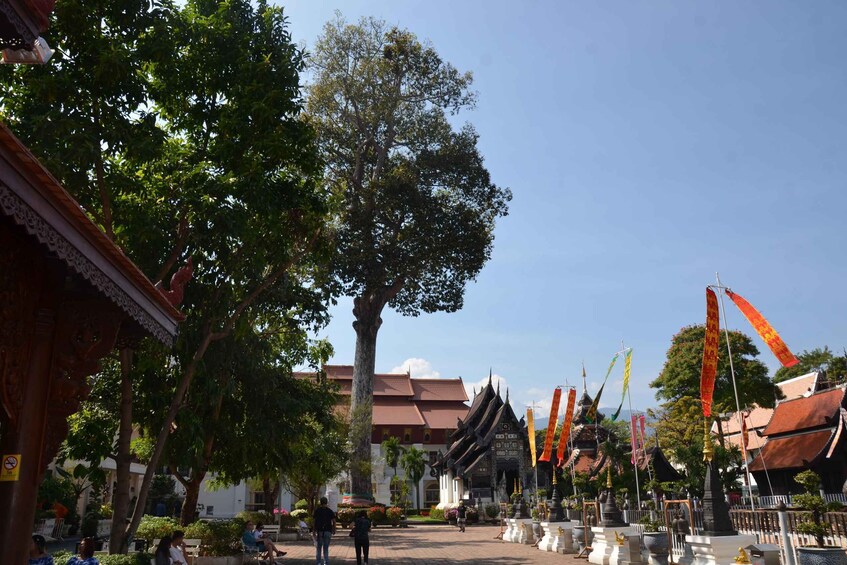 Picture 25 for Activity Chiang Mai: 3-Hour History and Culture Guided Walking Tour