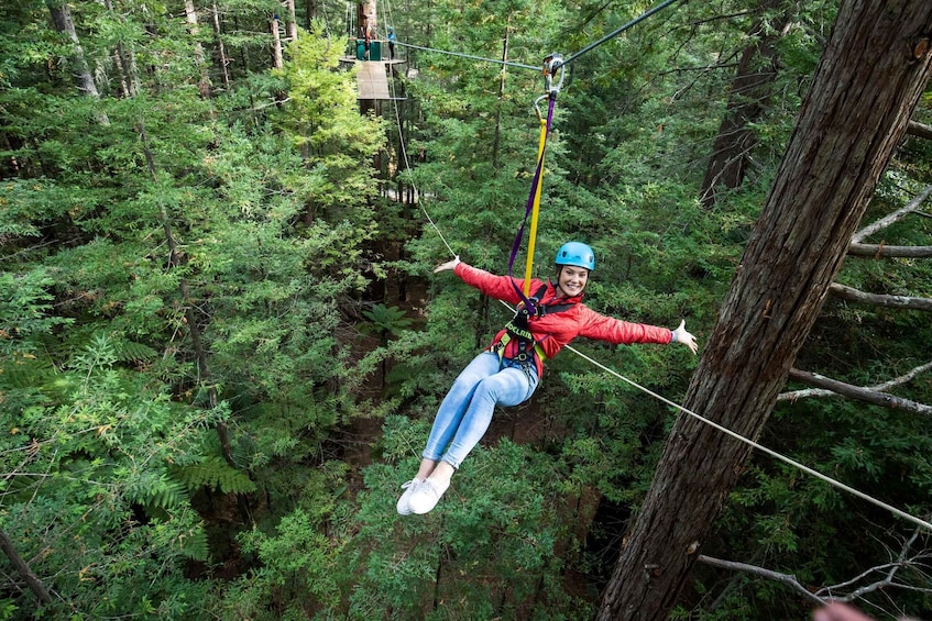 Picture 10 for Activity Rotorua: Redwoods Altitude, Nighttime Fast Pass, & Treewalk