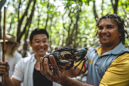 Port Douglas: Full Day Daintree Cultural Tour with Lunch