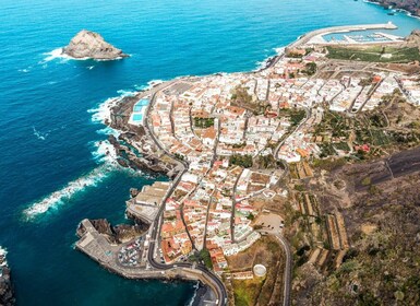 Tenerife: Teide-vulkanen og nord for øen VIP-tur