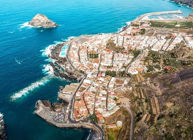 Tenerife: Teide-vulkanen og nord for øen VIP-tur