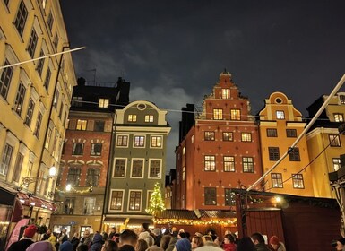 Stockholm: Private magische schwedische Weihnachtstour 2h