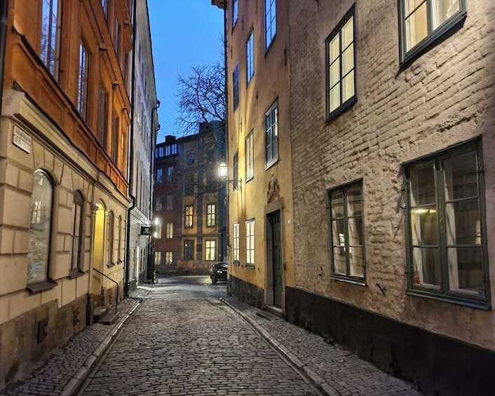 Picture 2 for Activity Stockholm: Private Magical Swedish Christmas Tour 2h